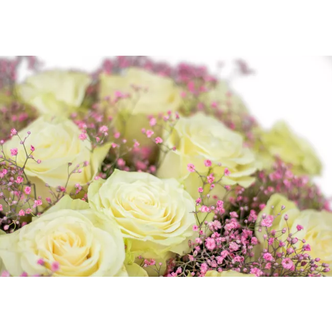 Flower box with roses